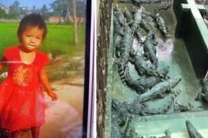 柬埔寨2歲女娃跌鱷魚池！被啃剩一顆頭顱，媽媽抱顱骨痛哭