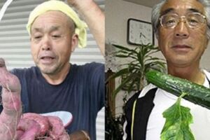 日本福島核災七年，多種生物變種怪異，黃瓜上還長出葉子！