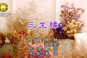 三生緣~楊靜、莊振凱【KTV導唱字幕】