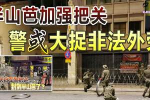 半山芭加強把關警或大捉非法外勞