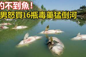 釣不到魚4男怒買16瓶毒藥猛倒河22萬條魚當場慘死