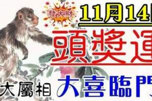 11月14日頭獎運的生肖，大喜臨門