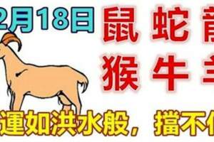 12月18日生肖運勢_鼠、蛇、龍大吉