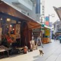 為什麼大家都愛逛東京老街？讓你愛上東京老街的10個理由
