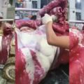 中國製「假霜降牛」把雪花攪到均勻影片瘋傳…真相曝光神逆轉：超傻眼（10P+影）