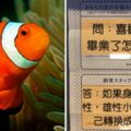 京都水族館開始「戀愛諮詢功能」　員工的認真回覆讓網友秒噴笑：太中肯！