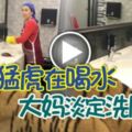 猛虎在喝水大媽淡定洗廁所