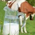 大家從小喝牛奶，為何沒人喝羊奶？營養師告訴你：成分有多大差別