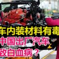 汽車內裝材料有毒？！傳中國出廠汽車導致白血病？