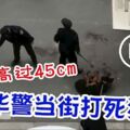 不準高過45cm，華警當街打死狗！還把我一家人都打了！