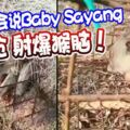 猴子不會說BabySayang他一槍射爆猴腦！