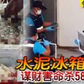 水泥冰箱封屍謀財害命殺58歲富女