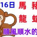 10月16日十二生肖【每日老黃曆】