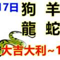 11月17日生肖運勢_狗、羊、虎大吉