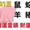 12月21日十二生肖【每日老黃歷】