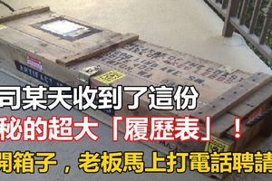 公司某天收到了這份神秘的超大「履歷表」！打開箱子後大家全看傻了，老闆還馬上打電話聘請他...