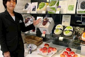 原來日本人「吃不起」水果！揭日本「奢侈水果」文化