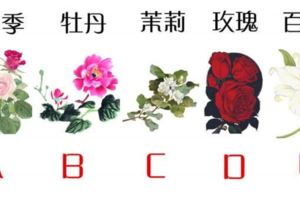 【心理測試】選一朵你最喜歡的花，測出下半年你的幸運貴人是誰？