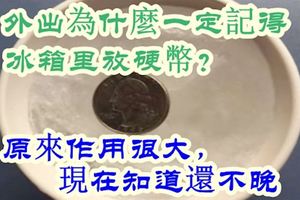 外出為什麼一定記得冰箱裡放硬幣？原來作用很大，現在知道還不晚