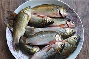 愛吃魚的人一定要知道，水產專家從來不吃這4種魚，很可能你家餐桌上就有，再便宜也別買
