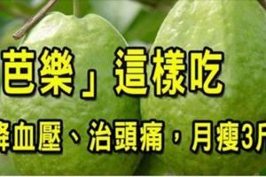 為什麼老一輩的人就算牙齒掉了還是堅持吃芭樂？原來它居然有「8種超強好處」！不吃太可惜了！！！！！