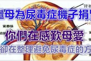 「繼母為尿毒症繼子捐腎」！你們都在感嘆母愛，我卻在整理「避免尿毒症的方法」！