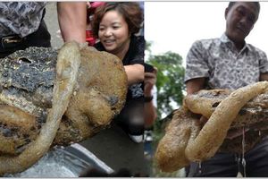 男子釣魚釣起這黑色的怪物，經鑑定後竟然是秦始皇苦苦尋找的稀奇寶物，這下他賺翻了！