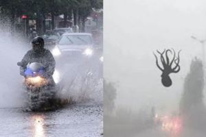 史上最狂！青島首例下起「海鮮雨」章魚、蝦子噴滿臉...目擊海星卡在車窗上！