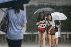 被國運籤說中今年真的慘？下大雨台南仍未「解渴」