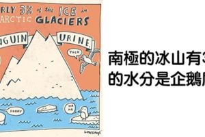 10張「超錯愕冷知識」可愛插畫　鱷魚沒辦法喇舌