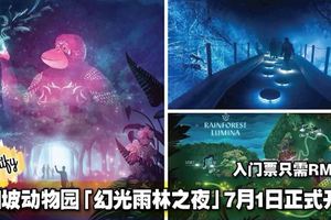 新加坡動物園「幻光雨林之夜」7月1日正式開幕！入門票只需RM59啊！