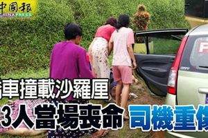 轎車撞載沙羅釐3人當場喪命司機重傷