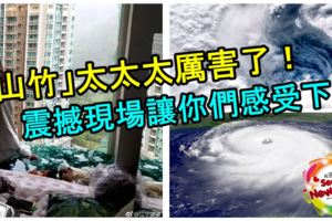 「山竹」太太太厲害了！震撼現場讓你們感受下！