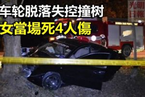 疑車輪脫落失控撞樹母女當場死4人傷