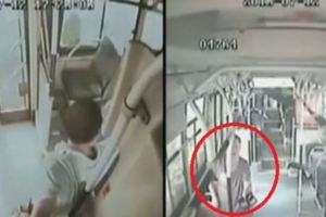 歹徒持刀挾持了公交車女司機，沒想到車上有一位特殊乘客！