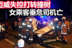 邁威失控打轉撞樹女乘客垂危司機亡