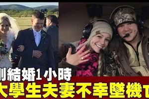 婚禮結束前往度蜜月　23歲夫妻墜機身亡