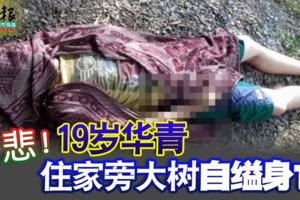 悲！19歲華青住家旁大樹自縊身亡