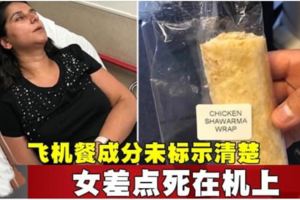 飛機餐成分未標示清楚　女差點死在機上!