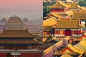 故宮的房頂從沒有鳥糞，600多年了為何如此乾淨?專家說出了秘密！