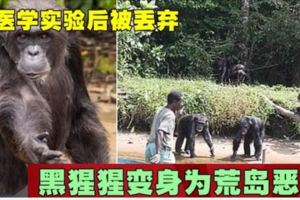 醫學實驗後被丟棄黑猩猩變身為荒島惡霸!