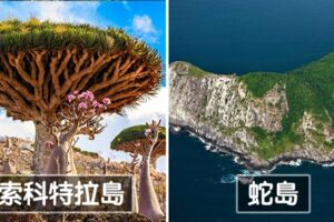 整座都是鑽石的島…　10個「藏很多秘密不想讓你知道」的神秘小島