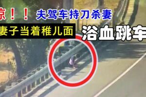 《浴血跳車》妻子中7刀高速路跳車，行兇丈夫投案時病發