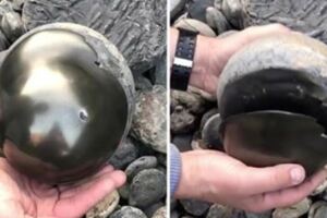 22歲男大生海岸撿到「神秘黃金球」　一打開挖出「1.85億年寶藏」狂喜