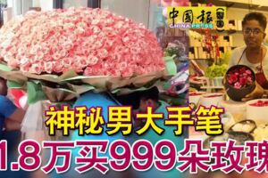 神秘男大手筆1.8萬買999朵玫瑰