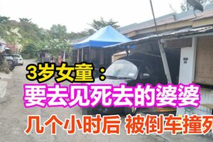 3歲女童曾說要去見死去的婆婆，幾個小時後被倒車撞死