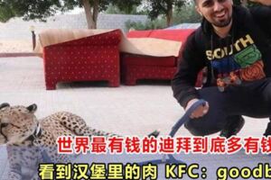 世界最有錢的迪拜到底多有錢看到漢堡裡的肉KFC：goodbye