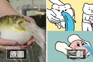 一張「吐水河豚」讓日本網友暴走了！　魔改河豚大軍越來越母湯