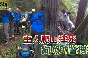 主人爬山摔死狗吠助警搜尋