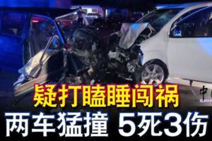 2019-05-04:勞勿,疑打瞌睡闖禍兩車猛撞5死3傷!